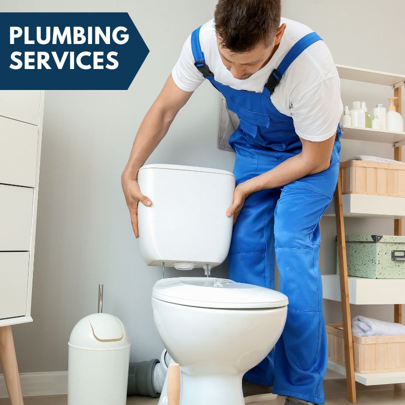 Plumbing Company in Danbury, IA